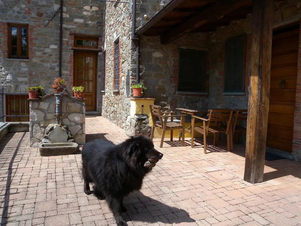 Agriturismo Il Pino San Martino in Freddana